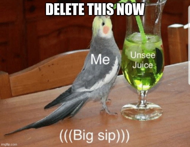 Unsee juice | DELETE THIS NOW | image tagged in unsee juice | made w/ Imgflip meme maker