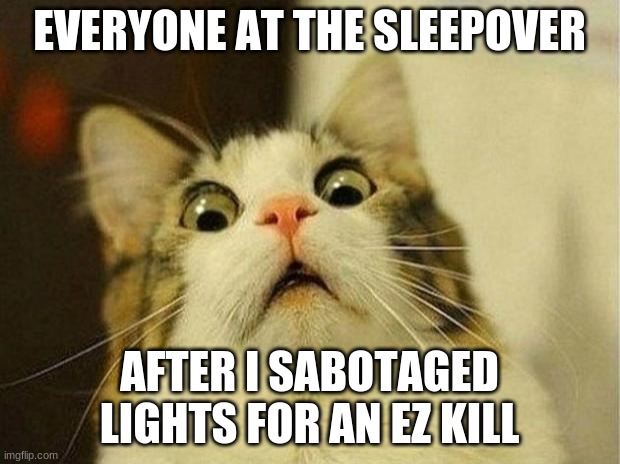 lol | EVERYONE AT THE SLEEPOVER; AFTER I SABOTAGED LIGHTS FOR AN EZ KILL | image tagged in memes,scared cat | made w/ Imgflip meme maker