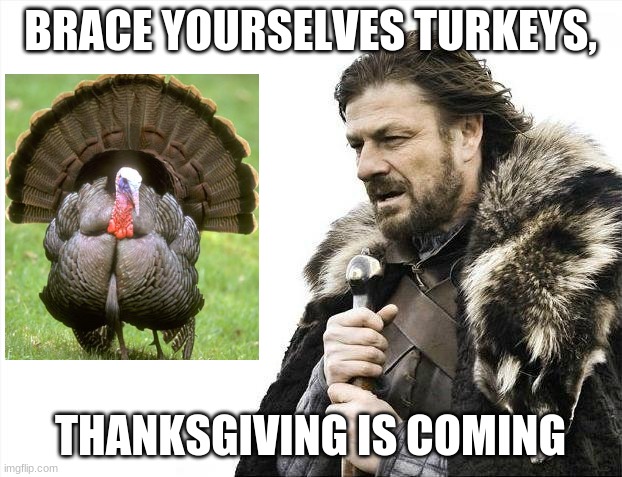 Poor little turkeys... | BRACE YOURSELVES TURKEYS, THANKSGIVING IS COMING | image tagged in memes,brace yourselves x is coming | made w/ Imgflip meme maker