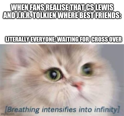 oh wait their dead, anyway | WHEN FANS REALISE THAT CS LEWIS AND J.R.R. TOLKIEN WHERE BEST FRIENDS:; LITERALLY EVERYONE: WAITING FOR  CROSS OVER | image tagged in blank white template,cats,narnia | made w/ Imgflip meme maker