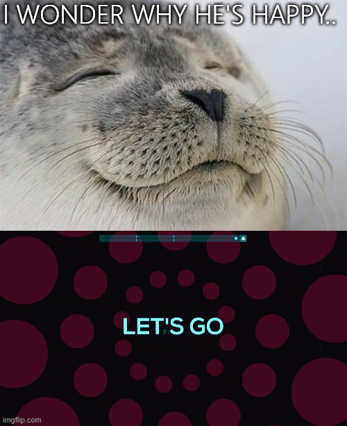 lets go |  I WONDER WHY HE'S HAPPY.. | image tagged in memes,satisfied seal,lets go | made w/ Imgflip meme maker