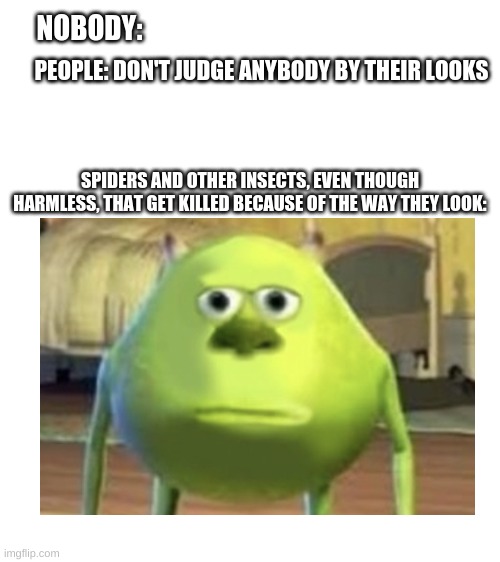 A Bugs Life | NOBODY:; PEOPLE: DON'T JUDGE ANYBODY BY THEIR LOOKS; SPIDERS AND OTHER INSECTS, EVEN THOUGH HARMLESS, THAT GET KILLED BECAUSE OF THE WAY THEY LOOK: | image tagged in mike wazowski,insects | made w/ Imgflip meme maker