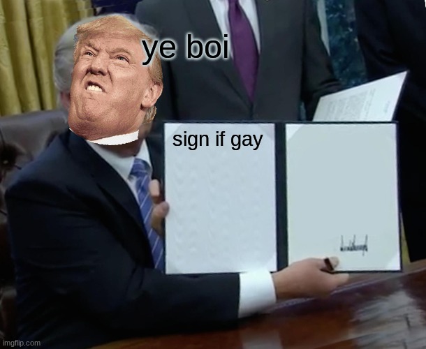 trumb gay ig | ye boi; sign if gay | image tagged in memes | made w/ Imgflip meme maker