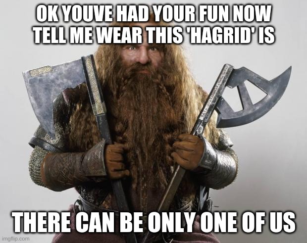 Gimli | OK YOUVE HAD YOUR FUN NOW TELL ME WEAR THIS 'HAGRID' IS THERE CAN BE ONLY ONE OF US | image tagged in gimli | made w/ Imgflip meme maker