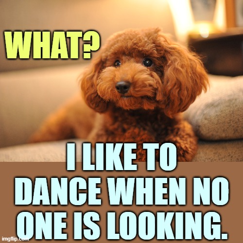 WHAT? I LIKE TO DANCE WHEN NO ONE IS LOOKING. | made w/ Imgflip meme maker