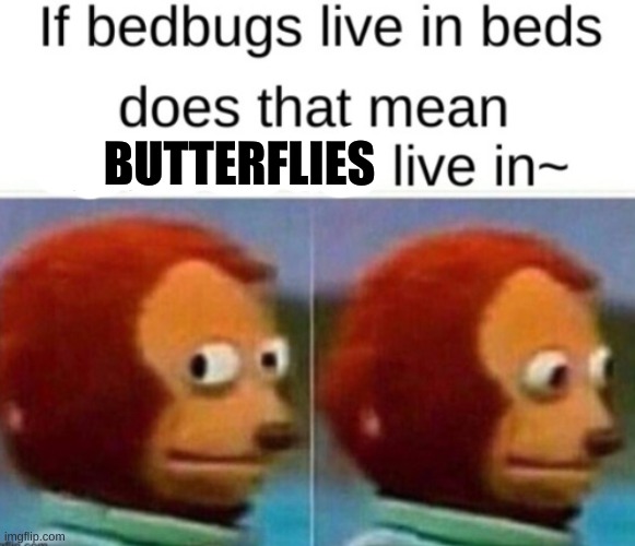 funny |  BUTTERFLIES | image tagged in funny,creepy,think | made w/ Imgflip meme maker