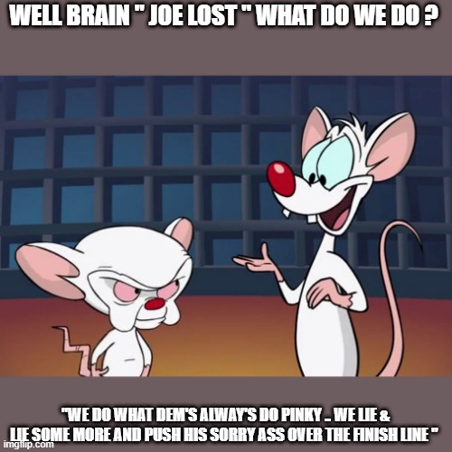 BRAINLESS BIDEN | WELL BRAIN " JOE LOST " WHAT DO WE DO ? "WE DO WHAT DEM'S ALWAY'S DO PINKY .. WE LIE & LIE SOME MORE AND PUSH HIS SORRY ASS OVER THE FINISH LINE " | image tagged in biden | made w/ Imgflip meme maker