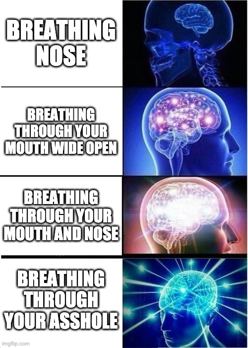 B R E A T H I N G | BREATHING NOSE; BREATHING THROUGH YOUR MOUTH WIDE OPEN; BREATHING THROUGH YOUR MOUTH AND NOSE; BREATHING THROUGH YOUR ASSHOLE | image tagged in memes,expanding brain | made w/ Imgflip meme maker