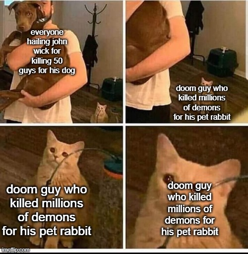 Why does nobody care for his rabbit? | everyone hailing john wick for killing 50 guys for his dog; doom guy who killed millions of demons for his pet rabbit; doom guy who killed millions of demons for his pet rabbit; doom guy who killed millions of demons for his pet rabbit | image tagged in forgotten sad cat | made w/ Imgflip meme maker