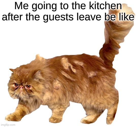 sneaks | Me going to the kitchen after the guests leave be like | image tagged in crookshanks | made w/ Imgflip meme maker