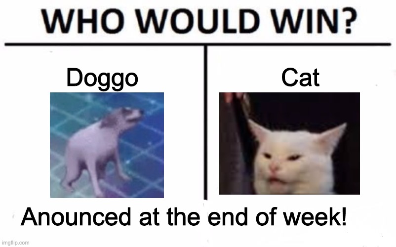 The longest war will be over | Doggo; Cat; Anounced at the end of week! | image tagged in memes,who would win | made w/ Imgflip meme maker