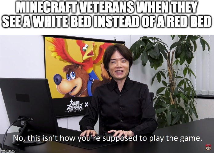 Minecraft Veterans Be Like | MINECRAFT VETERANS WHEN THEY SEE A WHITE BED INSTEAD OF A RED BED | image tagged in this isn't how you're supposed to play the game | made w/ Imgflip meme maker