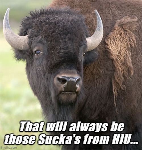 Da Real HU aka Howard U | That will always be those Sucka’s from HIU... | image tagged in bison | made w/ Imgflip meme maker