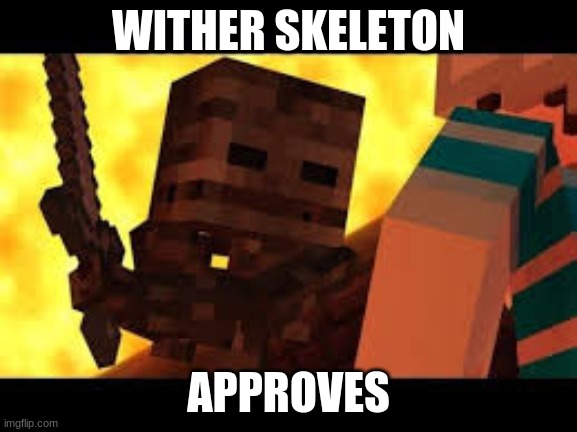 Wither Skeleton Realizes | WITHER SKELETON APPROVES | image tagged in wither skeleton realizes | made w/ Imgflip meme maker