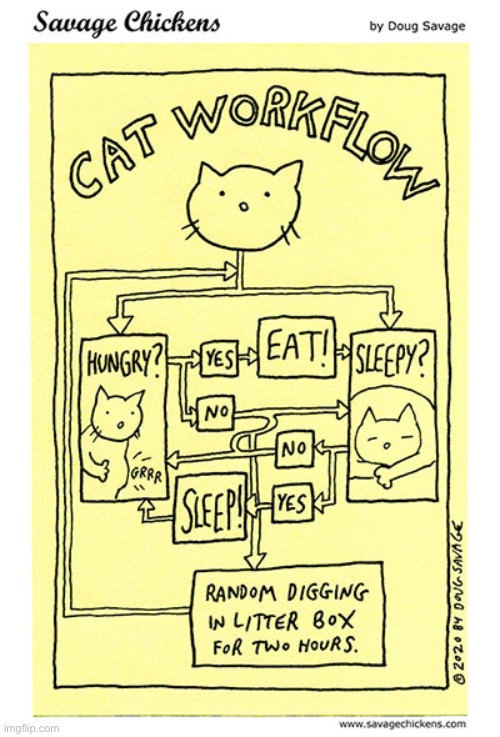Cat Work Flow Savage Chicken | image tagged in cat work flow savage chicken | made w/ Imgflip meme maker