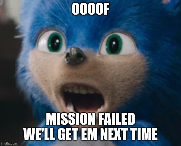 Sonic the Hedgehog | OOOOF; MISSION FAILED WE'LL GET EM NEXT TIME | image tagged in sonic the hedgehog | made w/ Imgflip meme maker