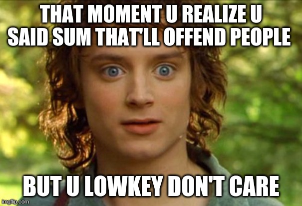 Surpised Frodo Meme | THAT MOMENT U REALIZE U SAID SUM THAT'LL OFFEND PEOPLE; BUT U LOWKEY DON'T CARE | image tagged in memes,surpised frodo | made w/ Imgflip meme maker