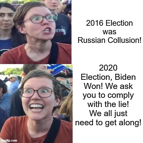 We Ask You To Comply With The Lie! | 2016 Election was Russian Collusion! 2020 Election, Biden Won! We ask you to comply with the lie! We all just need to get along! | image tagged in stupid liberals | made w/ Imgflip meme maker