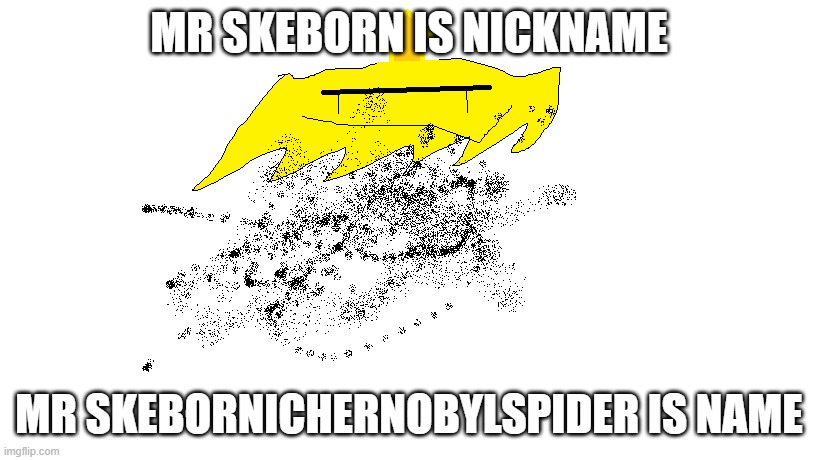 Mr Skeborn *final oc for today* | MR SKEBORN IS NICKNAME; MR SKEBORNICHERNOBYLSPIDER IS NAME | made w/ Imgflip meme maker