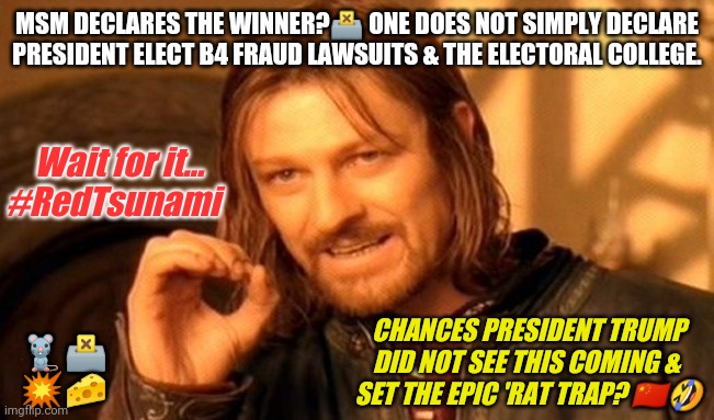 Joe Biden Appointed President Elect! #FakeNewsPOTUS #RedTsunami | MSM DECLARES THE WINNER?🗳 ONE DOES NOT SIMPLY DECLARE
PRESIDENT ELECT B4 FRAUD LAWSUITS & THE ELECTORAL COLLEGE. Wait for it... 
#RedTsunami; CHANCES PRESIDENT TRUMP DID NOT SEE THIS COMING & 
SET THE EPIC 'RAT TRAP? 🇨🇳🤣; 🐀🗳 💥🧀 | image tagged in memes,one does not simply,fake news,potus,the great awakening,trump 2020 | made w/ Imgflip meme maker