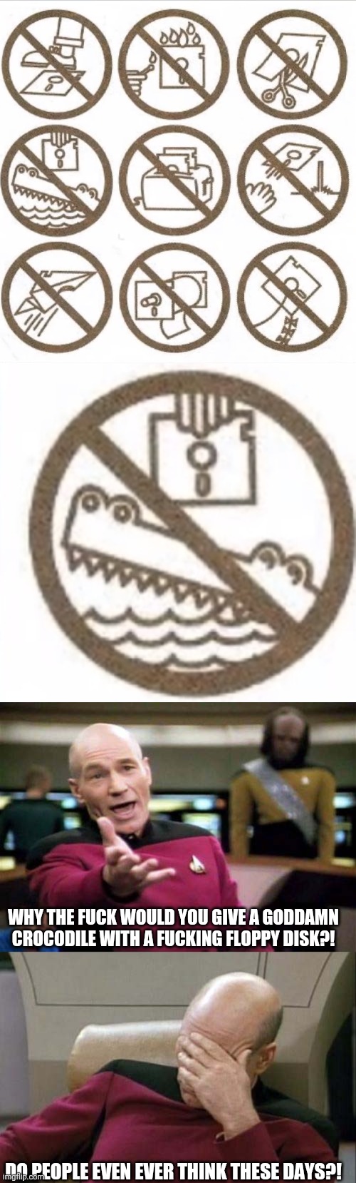 Floppies are bad for crocs and crocos. PETA angry now. | WHY THE FUCK WOULD YOU GIVE A GODDAMN CROCODILE WITH A FUCKING FLOPPY DISK?! DO PEOPLE EVEN EVER THINK THESE DAYS?! | image tagged in picard wtf and facepalm combined,stupidity,wtf | made w/ Imgflip meme maker