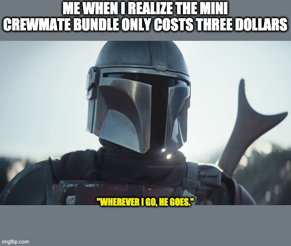 MiniCrewmatedalorian | ME WHEN I REALIZE THE MINI CREWMATE BUNDLE ONLY COSTS THREE DOLLARS; "WHEREVER I GO, HE GOES." | image tagged in the mandalorian | made w/ Imgflip meme maker