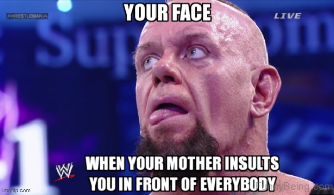 WWE | image tagged in memes | made w/ Imgflip meme maker
