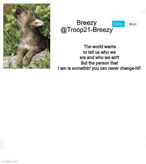 High Quality Trooper21-Breezy template Blank Meme Template