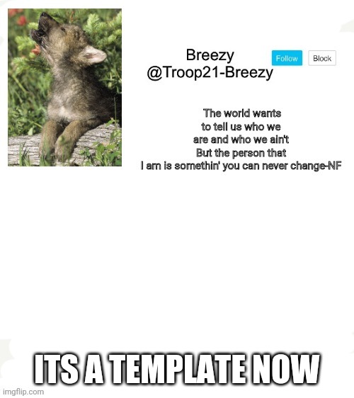 Trooper21-Breezy template | ITS A TEMPLATE NOW | image tagged in trooper21-breezy template | made w/ Imgflip meme maker