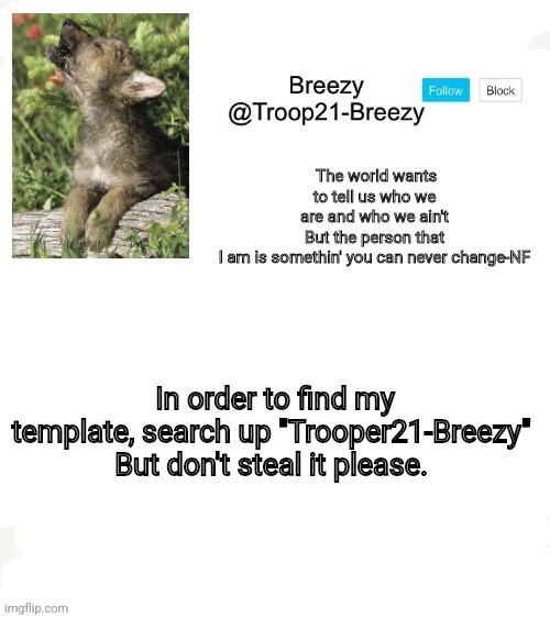 Why am I even telling you this? | In order to find my template, search up "Trooper21-Breezy" 

But don't steal it please. | made w/ Imgflip meme maker