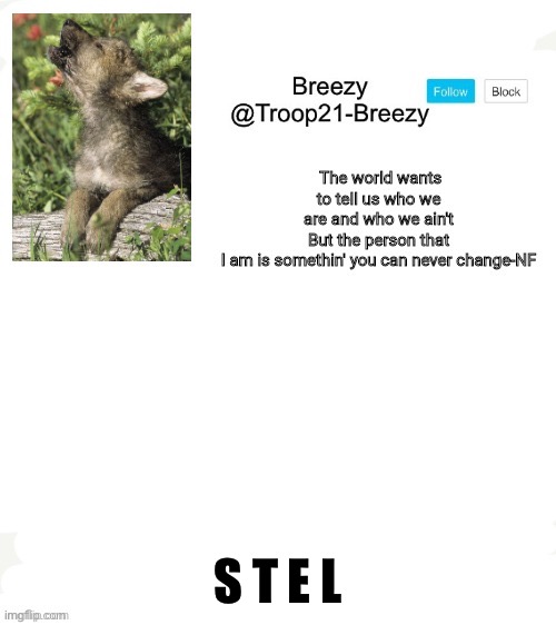Trooper21-Breezy template | S T E L | image tagged in trooper21-breezy template | made w/ Imgflip meme maker