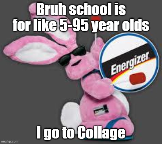 Energizer danks |  Bruh school is for like 5-95 year olds; I go to Collage | image tagged in energizer bunny | made w/ Imgflip meme maker