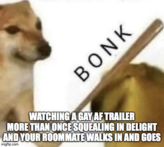 Bonk | WATCHING A GAY AF TRAILER MORE THAN ONCE SQUEALING IN DELIGHT AND YOUR ROOMMATE WALKS IN AND GOES | image tagged in bonk | made w/ Imgflip meme maker