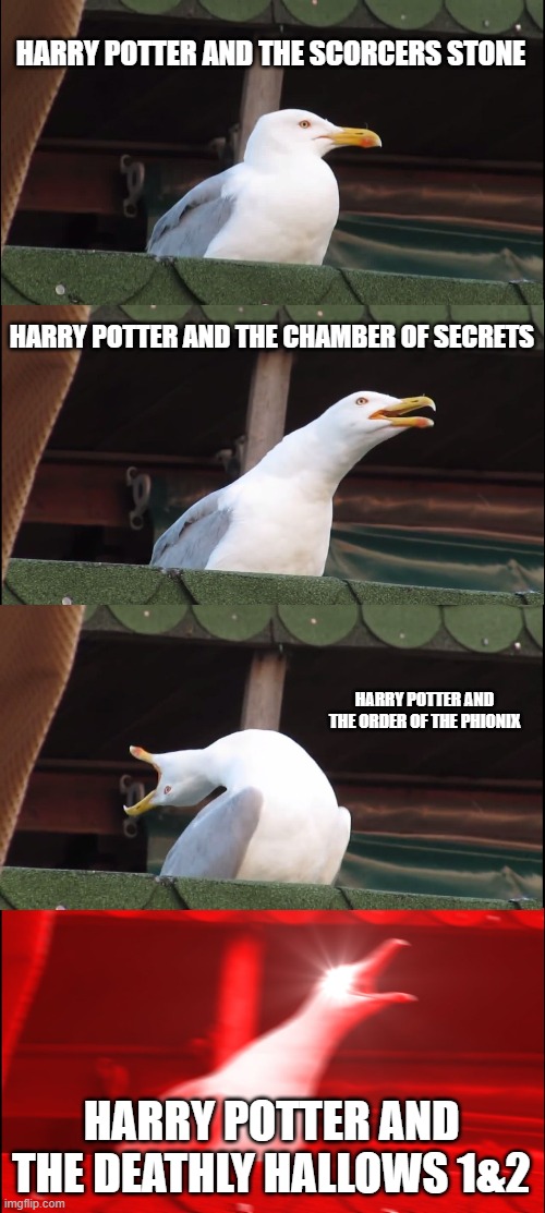Inhaling Seagull | HARRY POTTER AND THE SCORCERS STONE; HARRY POTTER AND THE CHAMBER OF SECRETS; HARRY POTTER AND THE ORDER OF THE PHIONIX; HARRY POTTER AND THE DEATHLY HALLOWS 1&2 | image tagged in memes,inhaling seagull | made w/ Imgflip meme maker