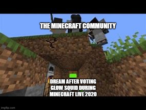 Dreams Punishment | THE MINECRAFT COMMUNITY; DREAM AFTER VOTING GLOW SQUID DURING MINECRAFT LIVE 2020 | image tagged in dream's manhunt thumbnail | made w/ Imgflip meme maker
