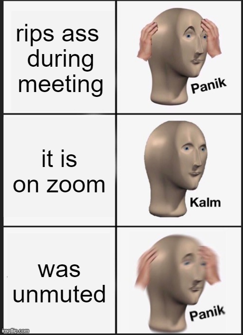 another day at the office | rips ass 
during meeting; it is on zoom; was unmuted | image tagged in memes,panik kalm panik,zoom,farts,rip ass,work from home | made w/ Imgflip meme maker