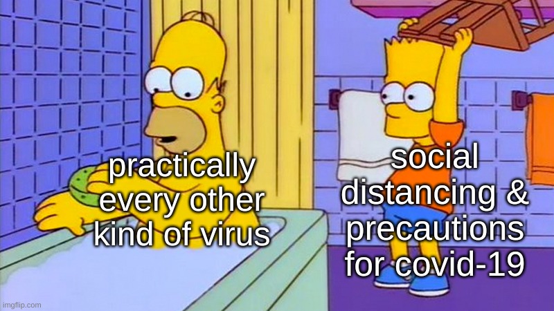 bart hitting homer with a chair | practically every other kind of virus; social distancing & precautions for covid-19 | image tagged in bart hitting homer with a chair,the simpsons,coronavirus,covid 19,homer simpson,bart simpson | made w/ Imgflip meme maker