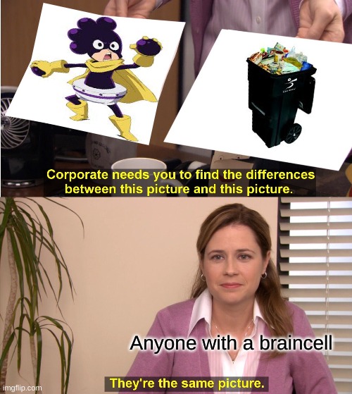 They're The Same Picture | Anyone with a braincell | image tagged in memes,they're the same picture | made w/ Imgflip meme maker