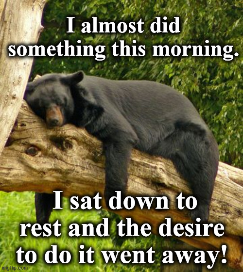 bear | I almost did something this morning. I sat down to rest and the desire to do it went away! | image tagged in bear | made w/ Imgflip meme maker