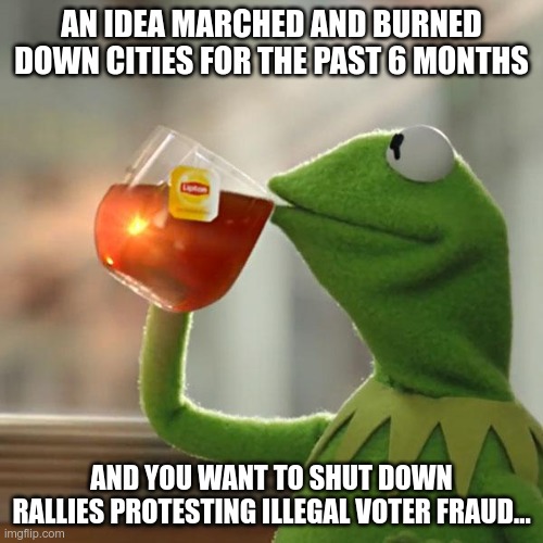 That's None Of My Business | AN IDEA MARCHED AND BURNED DOWN CITIES FOR THE PAST 6 MONTHS; AND YOU WANT TO SHUT DOWN RALLIES PROTESTING ILLEGAL VOTER FRAUD... | image tagged in but that's none of my business,kermit the frog,stop the fraud | made w/ Imgflip meme maker