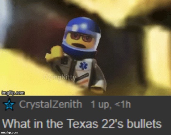 made this a template bc y not | image tagged in what in texas 22's bullets | made w/ Imgflip meme maker