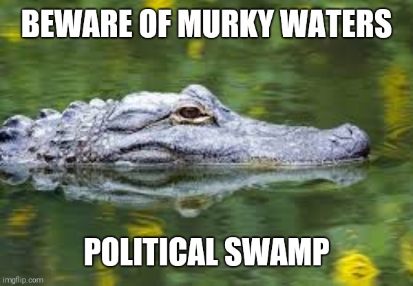 Political Swamp | BEWARE OF MURKY WATERS; POLITICAL SWAMP | image tagged in political swamp | made w/ Imgflip meme maker