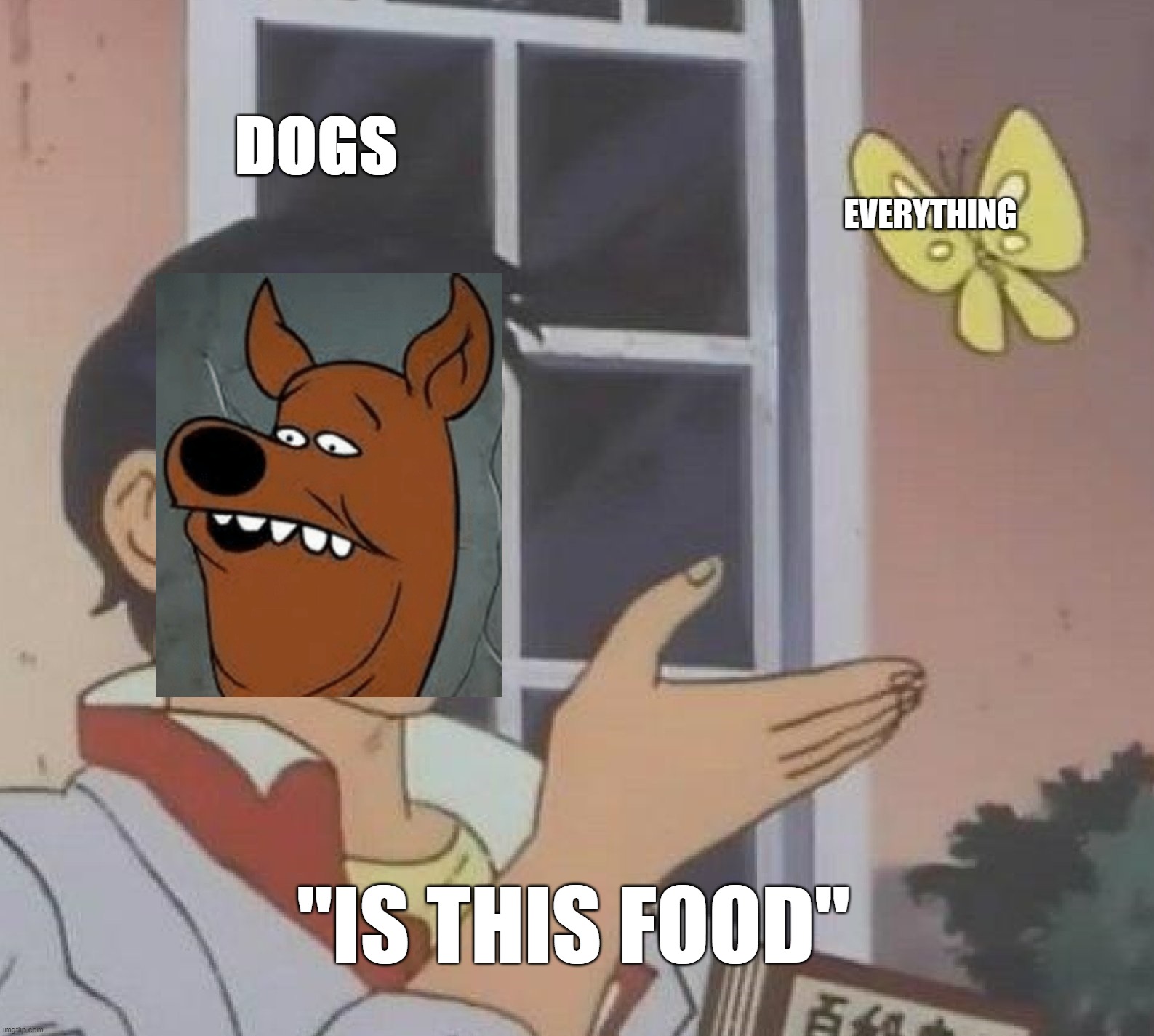Is This A Pigeon | DOGS; EVERYTHING; "IS THIS FOOD" | image tagged in memes,is this a pigeon | made w/ Imgflip meme maker