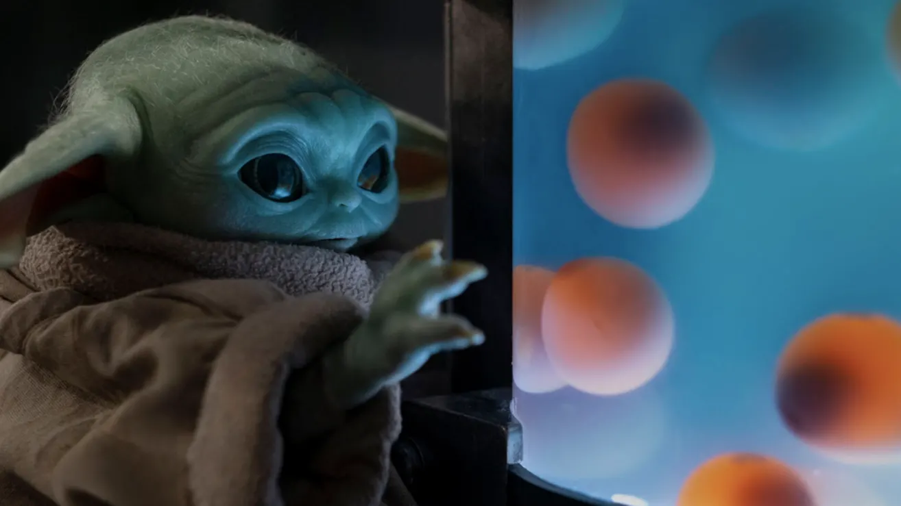 High Quality Baby Yoda Frog eggs Blank Meme Template