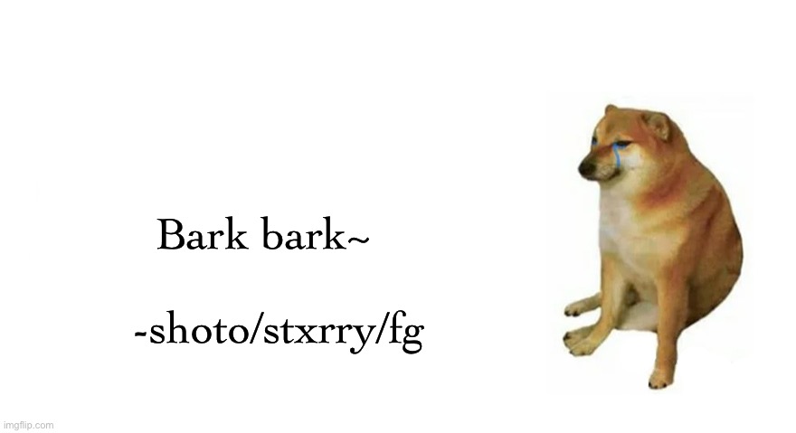 Buff Doge vs Crying Cheems | Bark bark~
                      -shoto/stxrry/fg | image tagged in buff doge vs crying cheems | made w/ Imgflip meme maker
