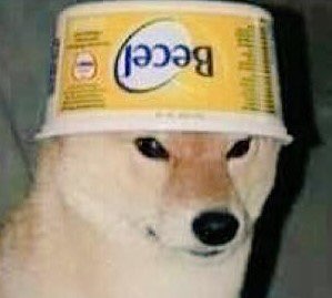 High Quality Butter doge Blank Meme Template