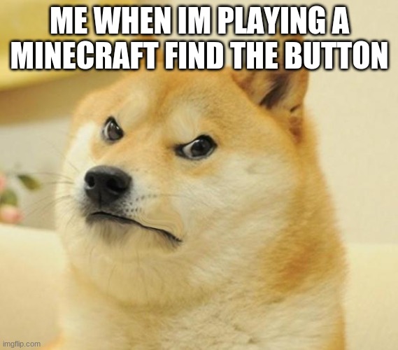 I mean the ones with like a room full of buttons and its one of them | ME WHEN IM PLAYING A MINECRAFT FIND THE BUTTON | image tagged in mad doge | made w/ Imgflip meme maker