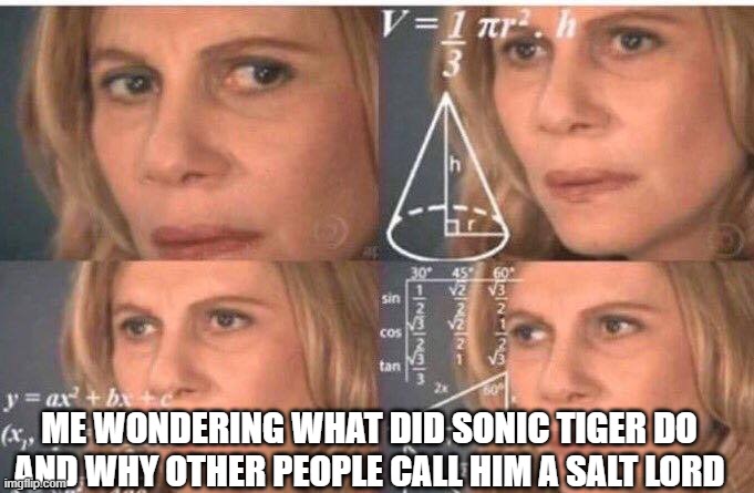 Math lady/Confused lady | ME WONDERING WHAT DID SONIC TIGER DO AND WHY OTHER PEOPLE CALL HIM A SALT LORD | image tagged in math lady/confused lady | made w/ Imgflip meme maker