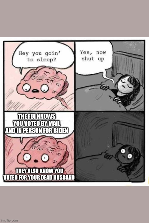 Hey you going to sleep? | THE FBI KNOWS YOU VOTED BY MAIL AND IN PERSON FOR BIDEN; THEY ALSO KNOW YOU VOTED FOR YOUR DEAD HUSBAND | image tagged in hey you going to sleep | made w/ Imgflip meme maker
