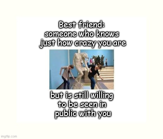 Best friend | Best friend: 
someone who knows 
just how crazy you are; but is still willing 
to be seen in 
public with you | image tagged in funny memes | made w/ Imgflip meme maker